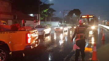 Cavalos morrem atropelados na RJ-106 em Maricá