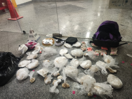Mais de 3 mil pedras de crack são apreendidas em Itatiaia
