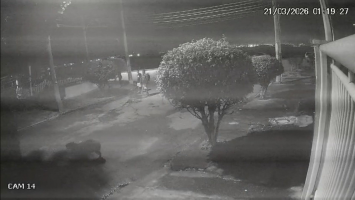 Câmeras flagram 8 homens espancando capivara na Zona Norte do Rio; agressores são presos 