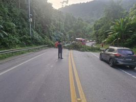Árvore cai e interdita a Rodovia Rio-Santos em Angra dos Reis