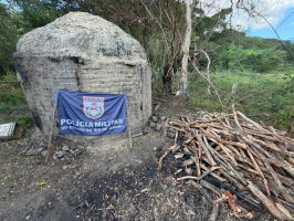 Polícia Ambiental flagra suposta carvoaria ilegal com fornos em funcionamento em Cardoso Moreira