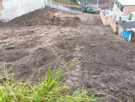 Polícia Ambiental flagra extração irregular de árvores em Volta Redonda