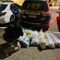 PRF intercepta carga de drogas que seguia para Cabo Frio e tinha taxista como batedor na BR-101