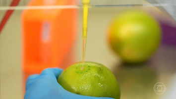 Pesquisadores brasileiros desenvolvem biodetergente capaz de prolongar a vida útil de frutas e legumes 