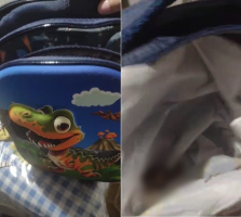 Mãe denuncia creche após filho de 3 anos chegar em casa com fezes dentro da mochila