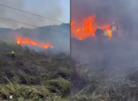 Incêndio atinge cerca de 1.000 metros quadrados de vegetação no Pontal do Atalaia, em Arraial do Cabo