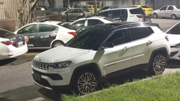 Um dos maiores exemplares de pau-brasil já identificados no RJ é encontrado no Parque Estadual da Pedra Branca