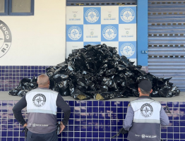 Homem é preso com cerca de 300 kg de skunk na Via Dutra, em Itatiaia