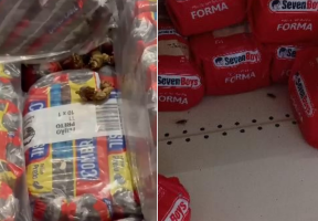 Imagens mostram baratas e fezes em meio a alimentos em supermercado de São Pedro da Aldeia: 'Manuseamos fardos com urina'