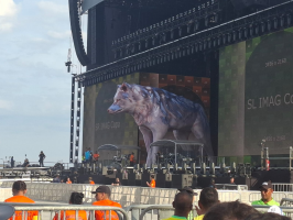 Loba gigante ‘Isabel’ rouba a cena e agita fãs de Shakira em Copacabana
