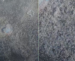 Vídeo mostra grande concentração de larvas na Lagoa de Araruama