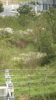 Homem é filmado por moradores fazendo gestos obscenos à porta de condomínio e preso por pm de folga em São Pedro da Aldeia