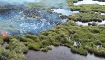 Fogo atinge vegetação em área alagada na APA de Massambaba, em Saquarema