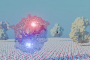 Enzima descoberta por cientistas pode transformar resíduos agrícolas em energia